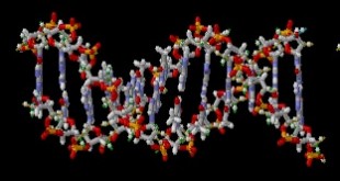 zdroj: brian0918, wikipedia, licence obrázku public domain