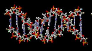 zdroj: brian0918, wikipedia, licence obrázku public domain