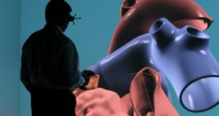 (c) Dassault Systèmes