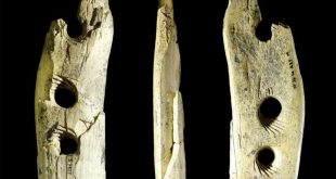 nástroj z paleolitu, credit (c) University of Tübingen